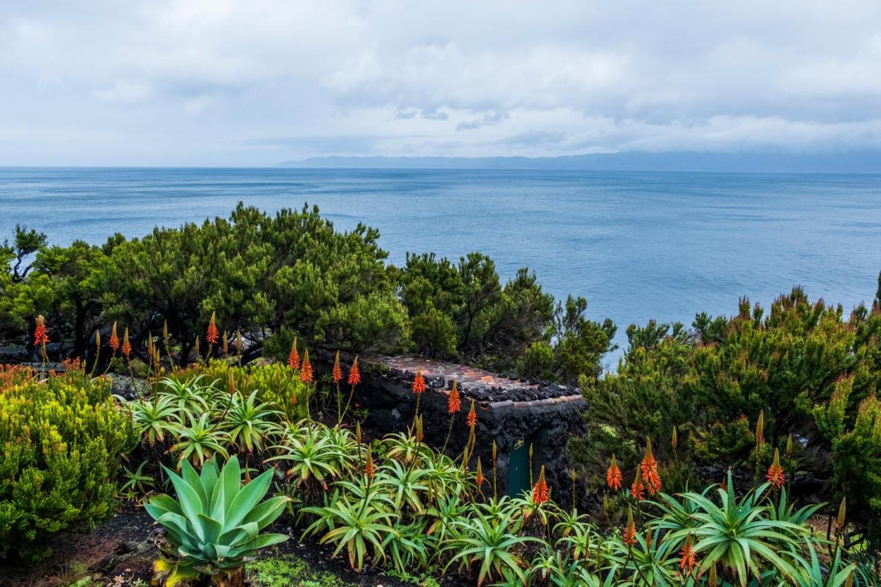 Villa Casa Do Caramba - The Dream House à São Roque do Pico Extérieur photo